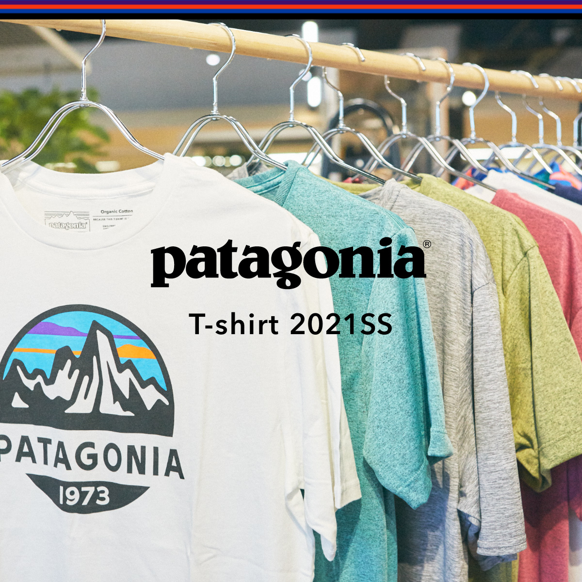 夏の必須アイテム！patagonia Tシャツ特集 2021